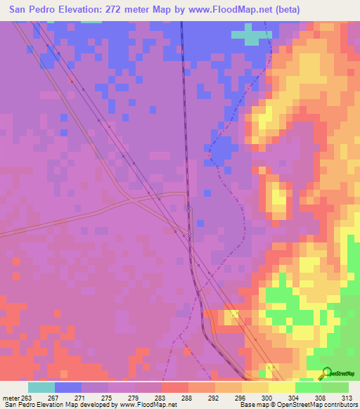 San Pedro,Mexico Elevation Map