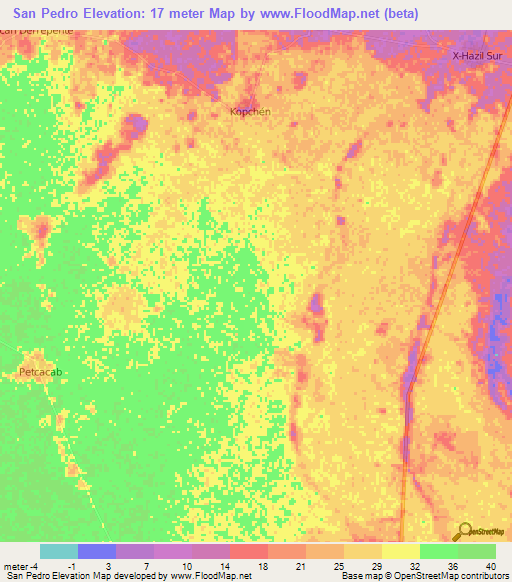 San Pedro,Mexico Elevation Map