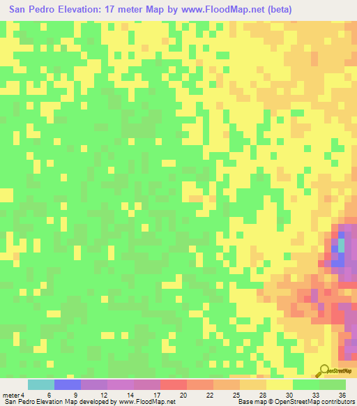 San Pedro,Mexico Elevation Map