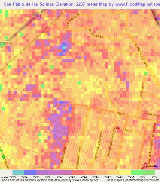 San Pablo de las Salinas,Mexico Elevation Map