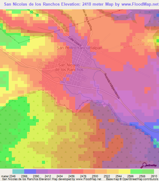 San Nicolas de los Ranchos,Mexico Elevation Map