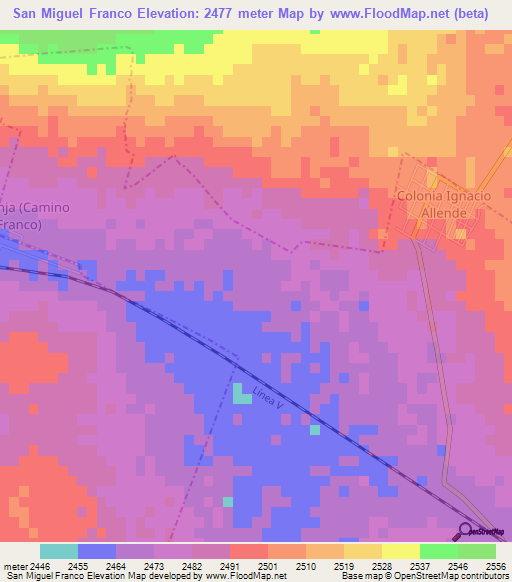 San Miguel Franco,Mexico Elevation Map