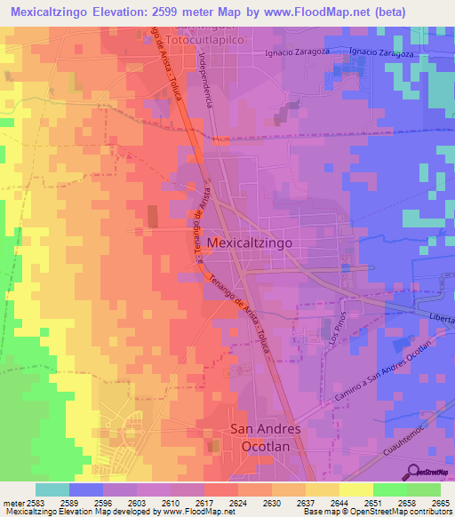 Mexicaltzingo,Mexico Elevation Map