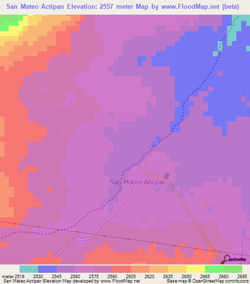 San Mateo Actipan,Mexico Elevation Map