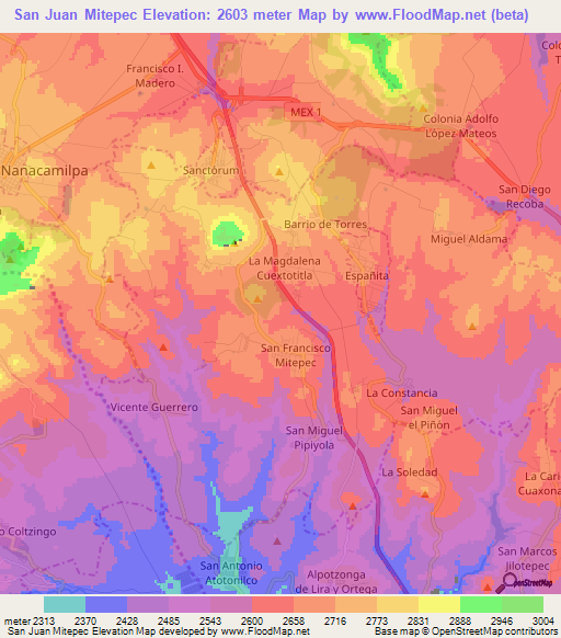 San Juan Mitepec,Mexico Elevation Map