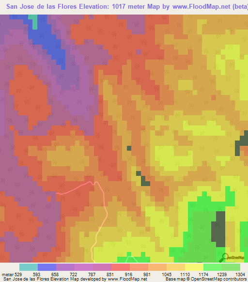 San Jose de las Flores,Mexico Elevation Map