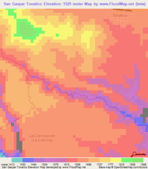 San Gaspar Tonatico,Mexico Elevation Map