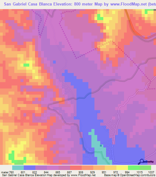 San Gabriel Casa Blanca,Mexico Elevation Map