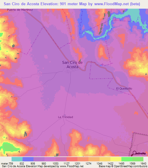 San Ciro de Acosta,Mexico Elevation Map