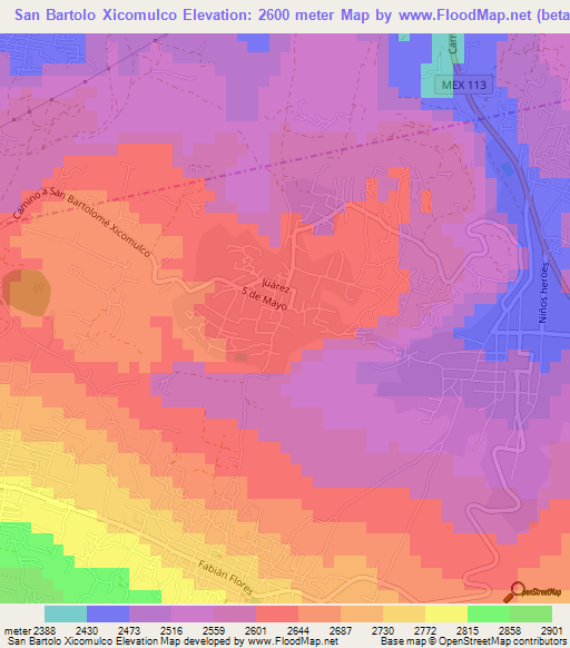 San Bartolo Xicomulco,Mexico Elevation Map