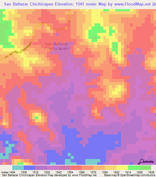 San Baltazar Chichicapan,Mexico Elevation Map