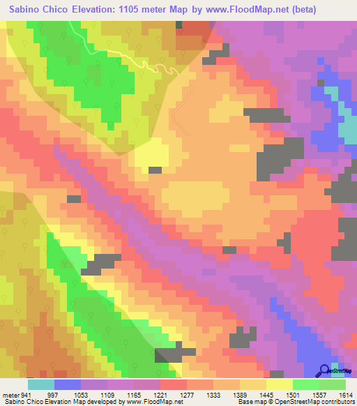 Sabino Chico,Mexico Elevation Map