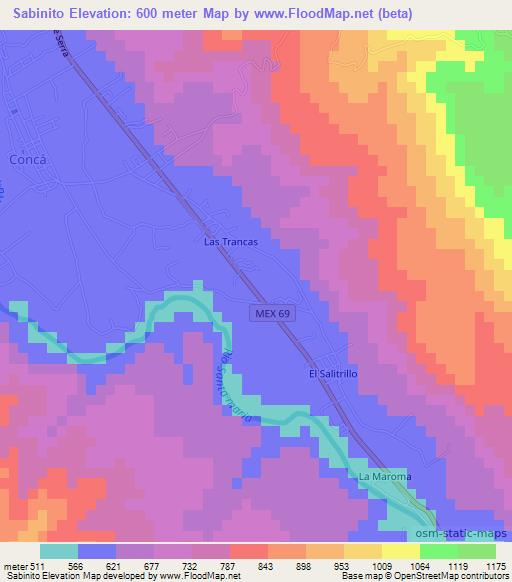 Sabinito,Mexico Elevation Map