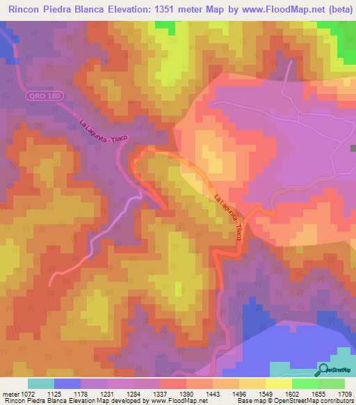 Rincon Piedra Blanca,Mexico Elevation Map