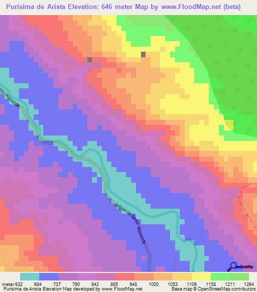 Purisima de Arista,Mexico Elevation Map