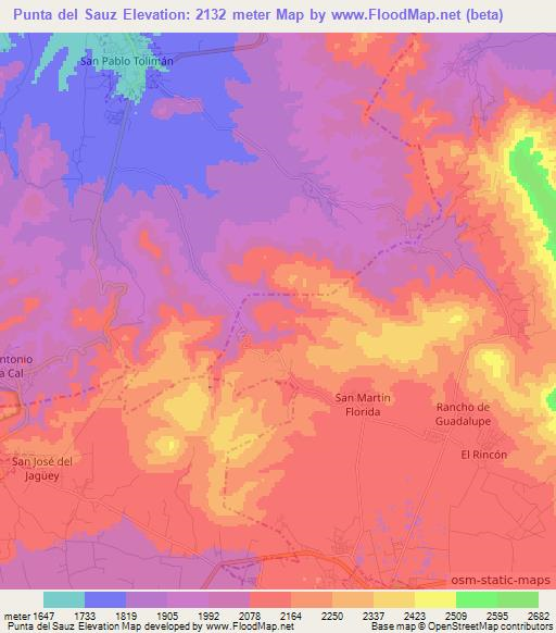 Punta del Sauz,Mexico Elevation Map