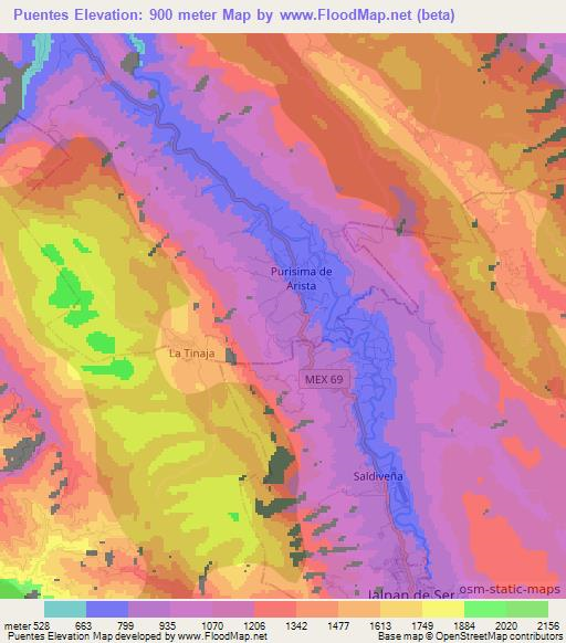 Puentes,Mexico Elevation Map