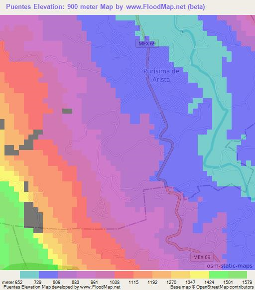 Puentes,Mexico Elevation Map