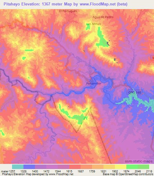 Pitahayo,Mexico Elevation Map