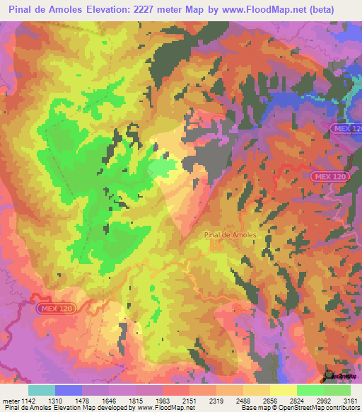 Pinal de Amoles,Mexico Elevation Map