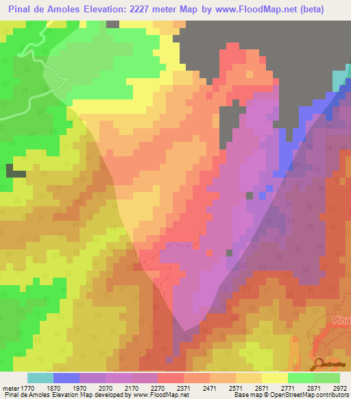 Pinal de Amoles,Mexico Elevation Map