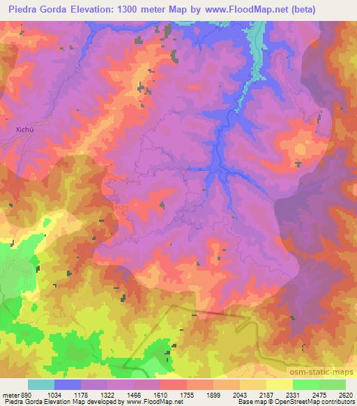 Piedra Gorda,Mexico Elevation Map