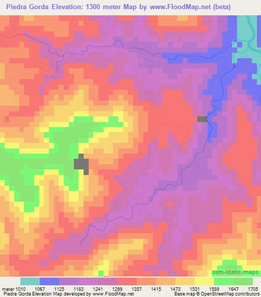 Piedra Gorda,Mexico Elevation Map