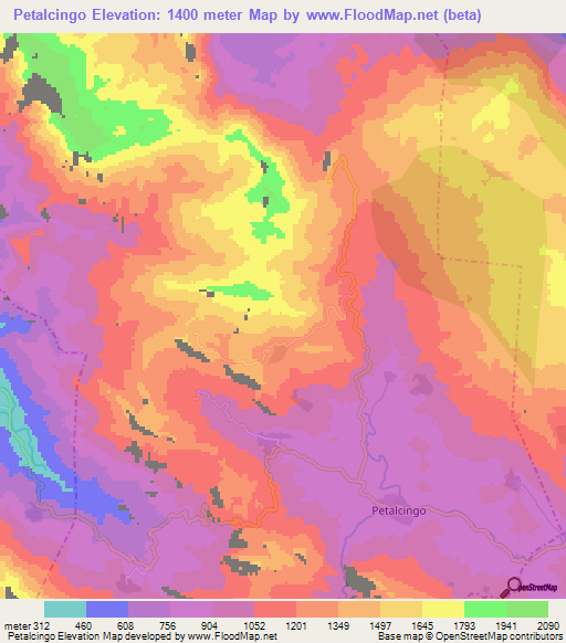 Petalcingo,Mexico Elevation Map