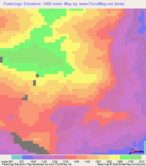 Petalcingo,Mexico Elevation Map