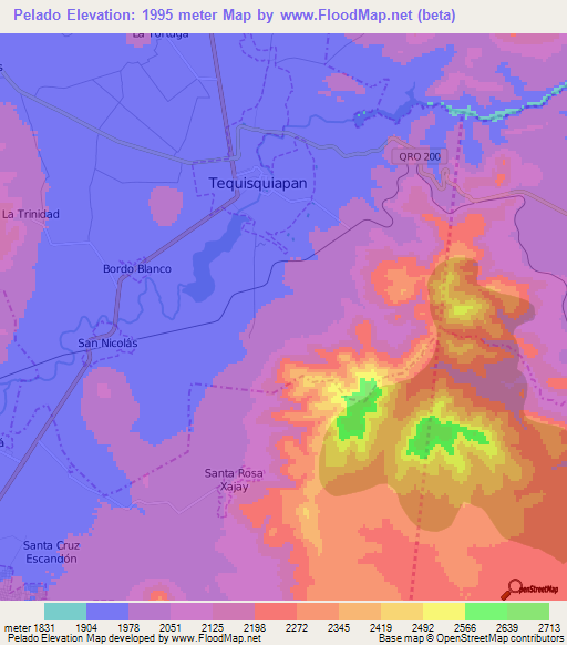 Pelado,Mexico Elevation Map