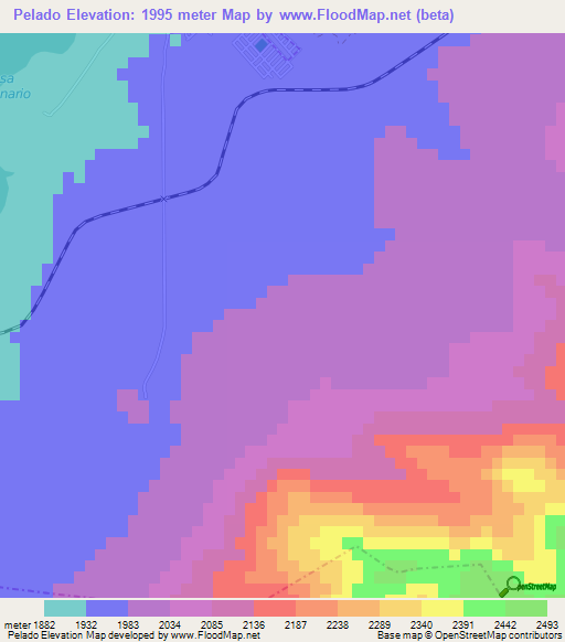 Pelado,Mexico Elevation Map