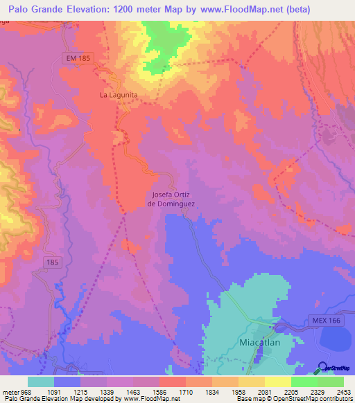 Palo Grande,Mexico Elevation Map