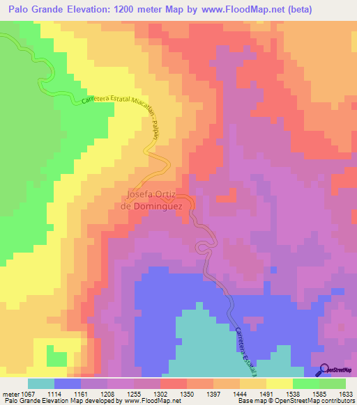 Palo Grande,Mexico Elevation Map