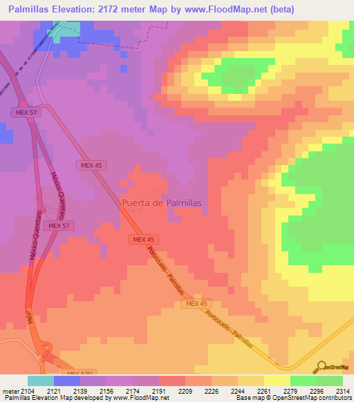 Palmillas,Mexico Elevation Map