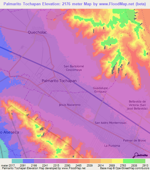 Palmarito Tochapan,Mexico Elevation Map