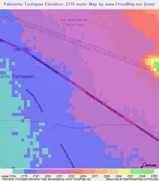 Palmarito Tochapan,Mexico Elevation Map