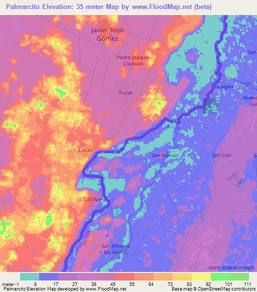 Palmarcito,Mexico Elevation Map