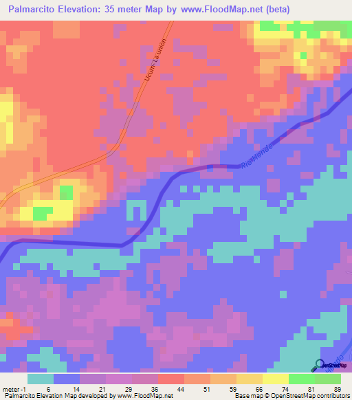 Palmarcito,Mexico Elevation Map