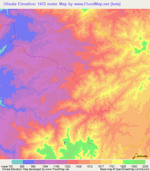 Olinala,Mexico Elevation Map