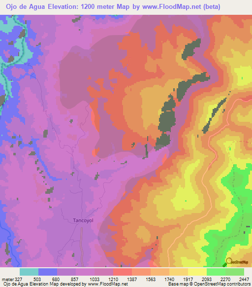 Ojo de Agua,Mexico Elevation Map