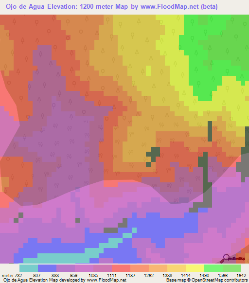 Ojo de Agua,Mexico Elevation Map