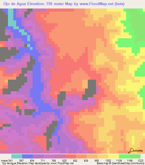 Ojo de Agua,Mexico Elevation Map