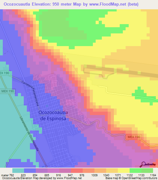 Ocozocuautla,Mexico Elevation Map