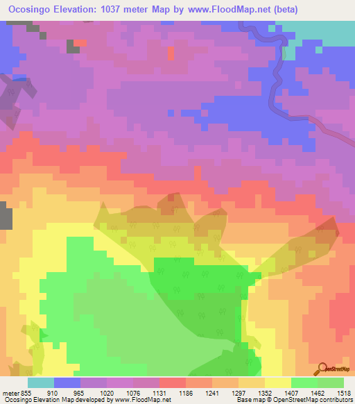 Ocosingo,Mexico Elevation Map