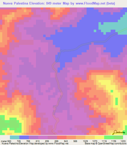 Nueva Palestina,Mexico Elevation Map