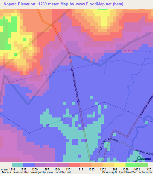 Nopata,Mexico Elevation Map