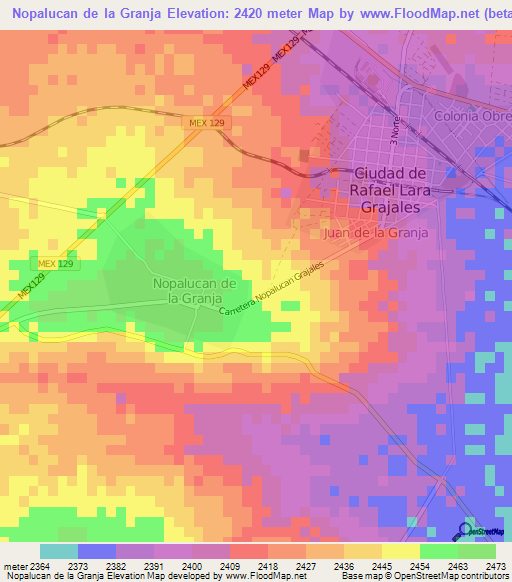 Nopalucan de la Granja,Mexico Elevation Map