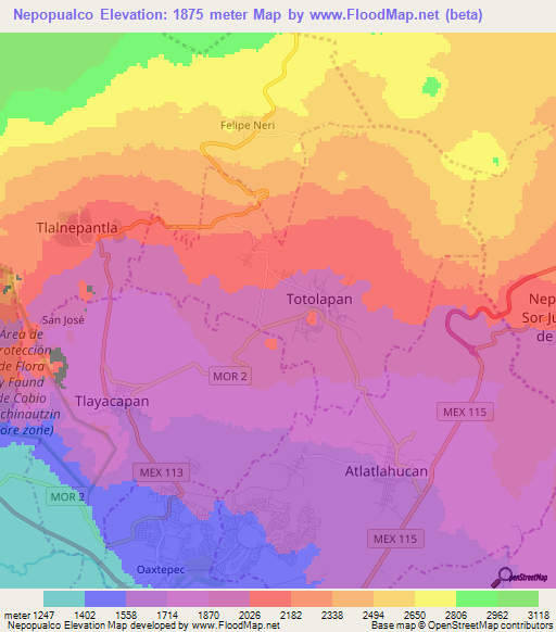 Nepopualco,Mexico Elevation Map