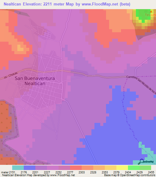 Nealtican,Mexico Elevation Map