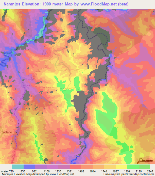 Naranjos,Mexico Elevation Map